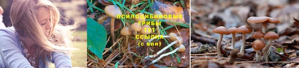 меф Алексин