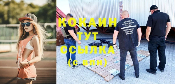 мяу мяу мука Алексеевка